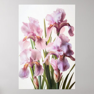 Roze Irissen Bloemenkunst Print Poster