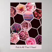 Roze is alles wat ik heb! 11 Afbeeldingen Hexagon Poster (Voorkant)