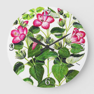 Roze Italiaanse Hibiscus-bloemen,  gedrukt Grote Klok