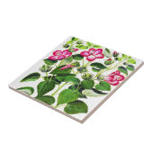 Roze Italiaanse Hibiscus-bloemen,  gedrukt Tegeltje (Zijkant)