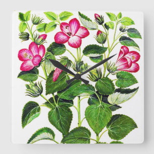 Roze Italiaanse Hibiscus-bloemen,  gedrukt Vierkante Klok