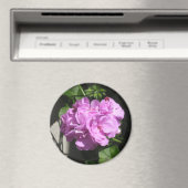 Roze Ivy Geranium Magneet (Insitu (Vaatwasser))
