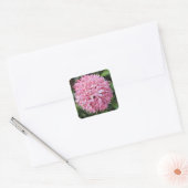 Roze Ixora-ventilator Vierkante Sticker (Envelop)
