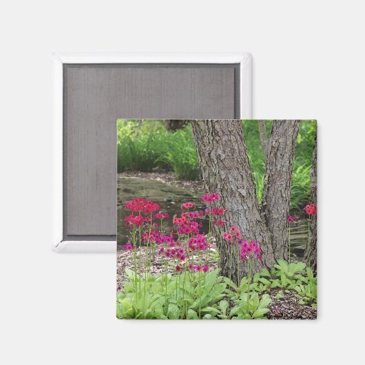 Roze Japans Primrose Floral Magneet (Voorkant / Achterkant)