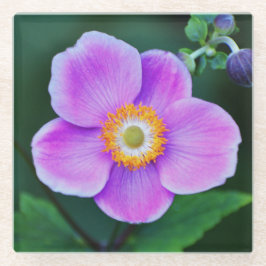 Roze Japanse Anemone Floral Glazen Onderzetter