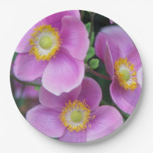 Roze Japanse anemones Floral