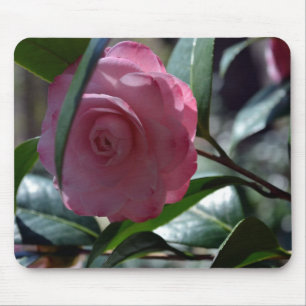 Roze Japanse Camellia Muismat