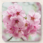 Roze Japanse Cherry Blossom Bier Onderzetter (Voorkant)