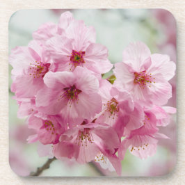 Roze Japanse Cherry Blossom Bier Onderzetter