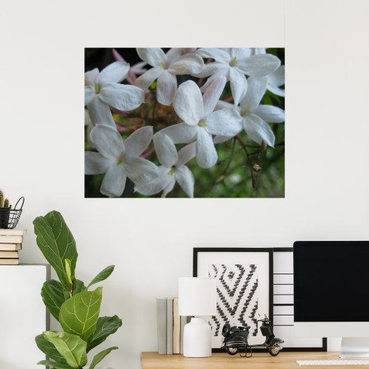 Roze Jasmine Flowers Poster (Thuiskantoor)