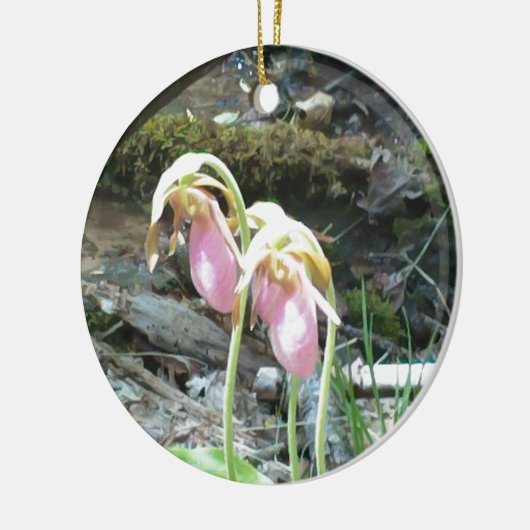 Roze juffrouw slipper orchidee keramisch ornament (Links)