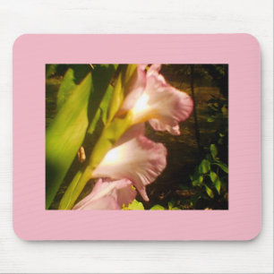 Roze juli Blooms Muismat