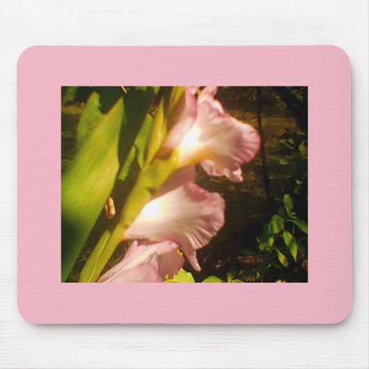 Roze juli Blooms Muismat (Voorkant)