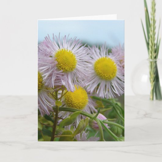  roze kaart (Voorkant)