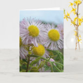  roze kaart (Gele Bloem)