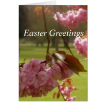 Roze Kaart Blossom Paasgroeten