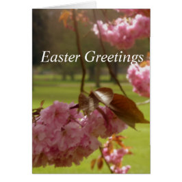 Roze Kaart Blossom Paasgroeten