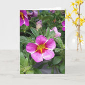 Roze Kaart met fijne snede van petunia, ventilator (Gele Bloem)