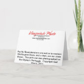 Roze Kaart Rhody (Achterkant)