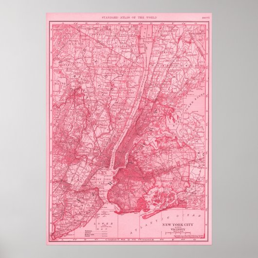 Roze kaart van New York City Poster (Voorkant)