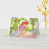 Roze Kaketoe met liefde-Brand Mohawk Kaart (Gele Bloem)