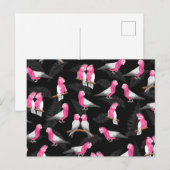 Roze kaketoes vogelpatroon briefkaart (Voorkant / Achterkant)