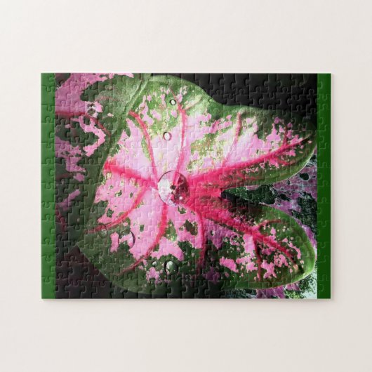 Roze kaladium Puzzle Legpuzzel (Horizontaal)