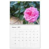 Roze kalender (Feb 2027)