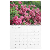 Roze kalender (Jan 2027)