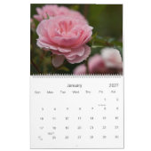 Roze kalender 2010 (Jan 2027)