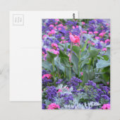 Roze kali in de lentestuin briefkaart (Voorkant / Achterkant)