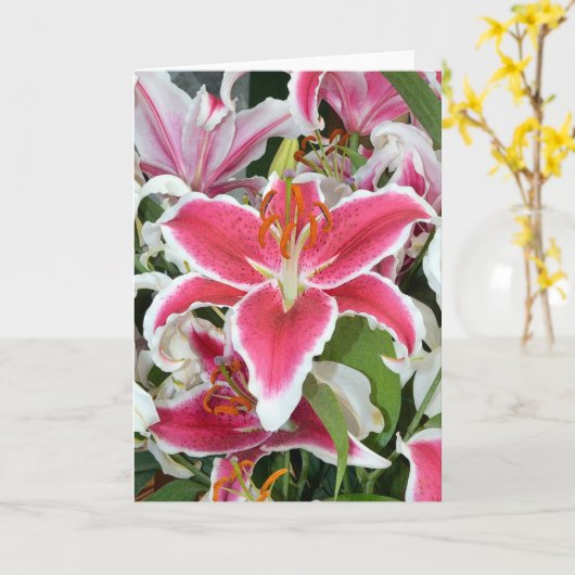 Roze kalkbloemen wenskaart kaart (Gele Bloem)