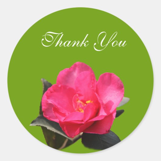 roze kamellia bloem dank je stickers (Voorkant)
