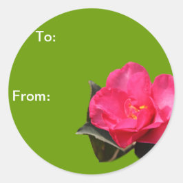 roze kamellia sticker kerstcadeautje met roze kame