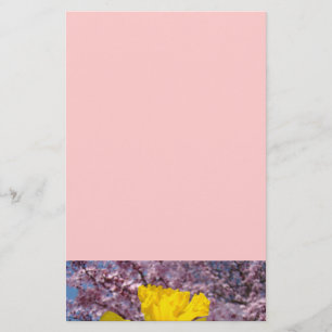 Roze kantoorboom bloeit in lente narcissen briefpapier