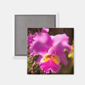 Roze karmozijnrode Cattleya-orchidee Magneet (Voorkant / Achterkant)