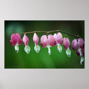 Roze karms afdrukken poster