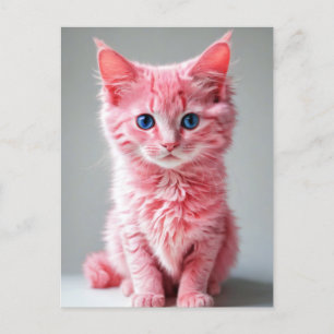 Roze kat briefkaart