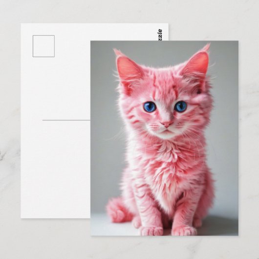 Roze kat briefkaart (Voorkant / Achterkant)