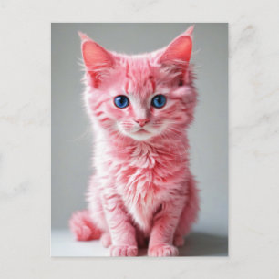 Roze Kat  Briefkaart