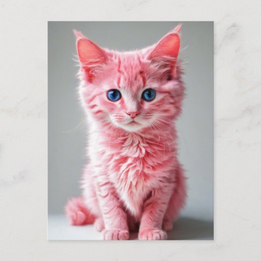 Roze kat briefkaart (Voorkant)