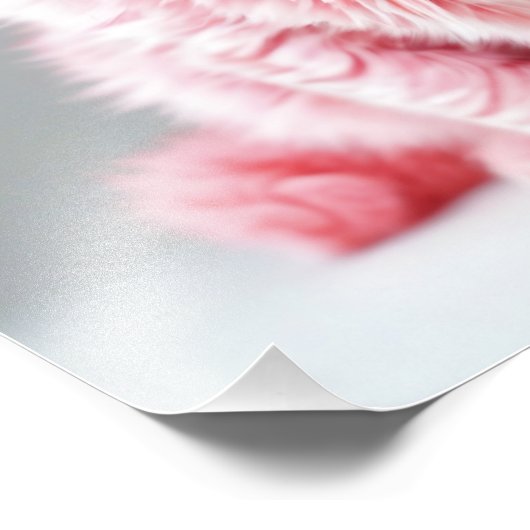 Roze kat foto afdruk (Hoek)