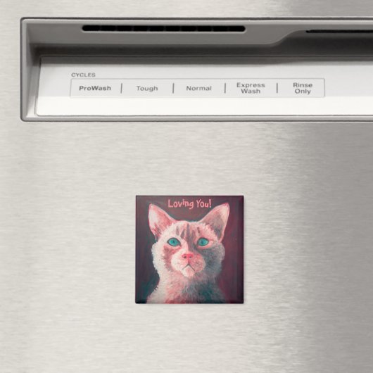 Roze Kat Magnet (Insitu (Vaatwasser))