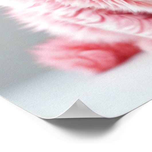 Roze kat poster (Hoek)