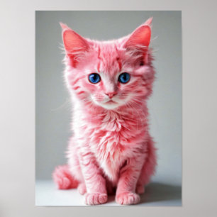 Roze kat poster
