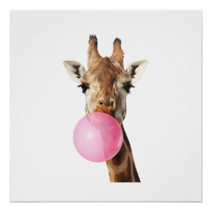 Roze kauwgom kauwend grappige giraffe dier liefheb perfect poster