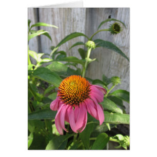 Roze Kegelbloem Blank Note Kaart