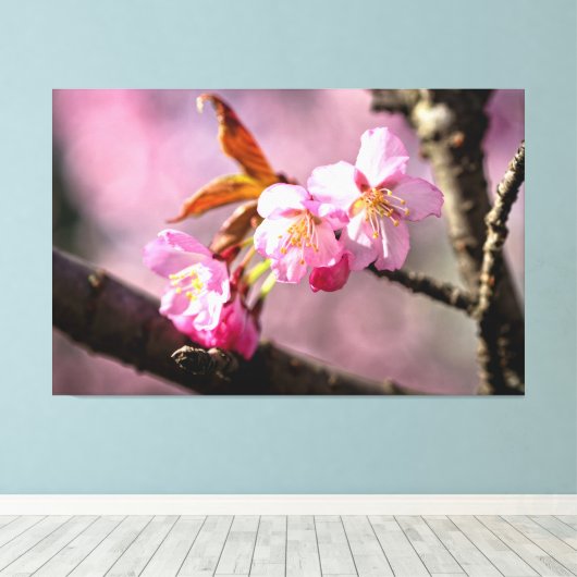Roze Keroza bloesems aan een boom in de lente Canvas Afdruk (Insitu (Houten vloer))
