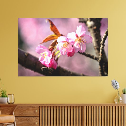 Roze Keroza bloesems aan een boom in de lente Canvas Afdruk (Insitu (Woonkamer))