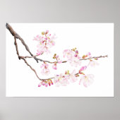 roze kerry blossom 2023 waterverf 2 poster (Voorkant)